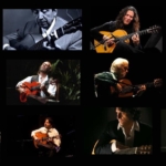 el buen guitarrista flamenco