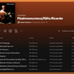 Niño ricardo - Flashmencoteca